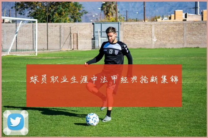 球员职业生涯中法甲经典抢断集锦